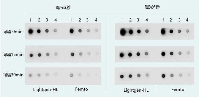 LightgenHL_dot